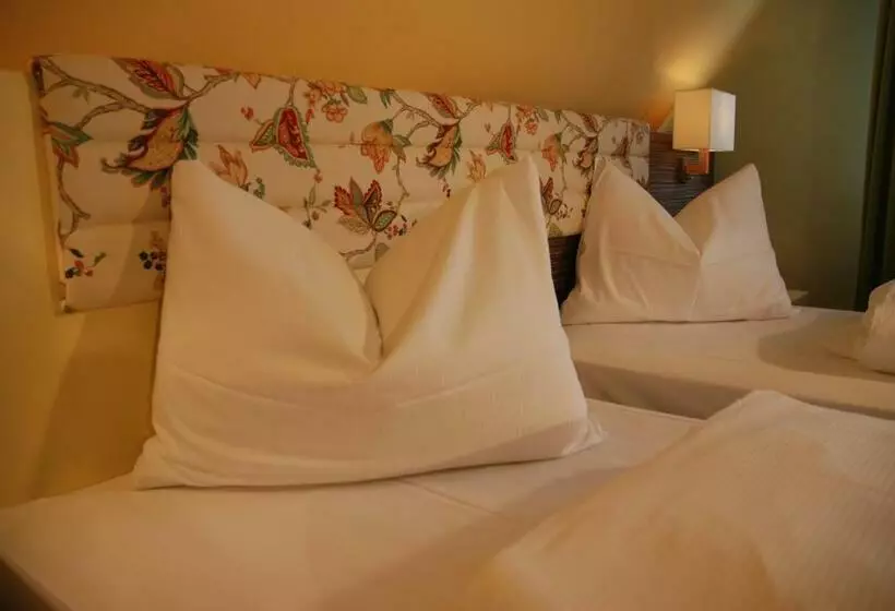 Superior Yhden Hengen Huone, Prinzhotel Rothenburg