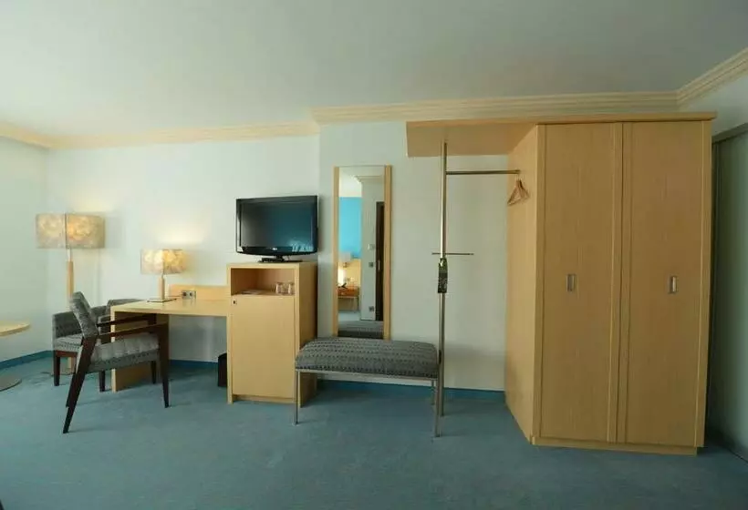 Superior Yhden Hengen Huone, Prinzhotel Rothenburg