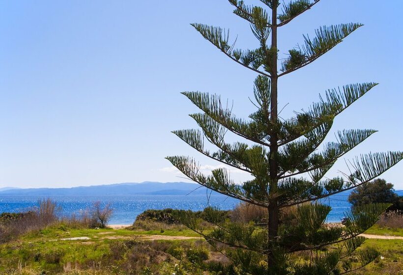 디럭스 스위트 바다 전망, Arco Beach