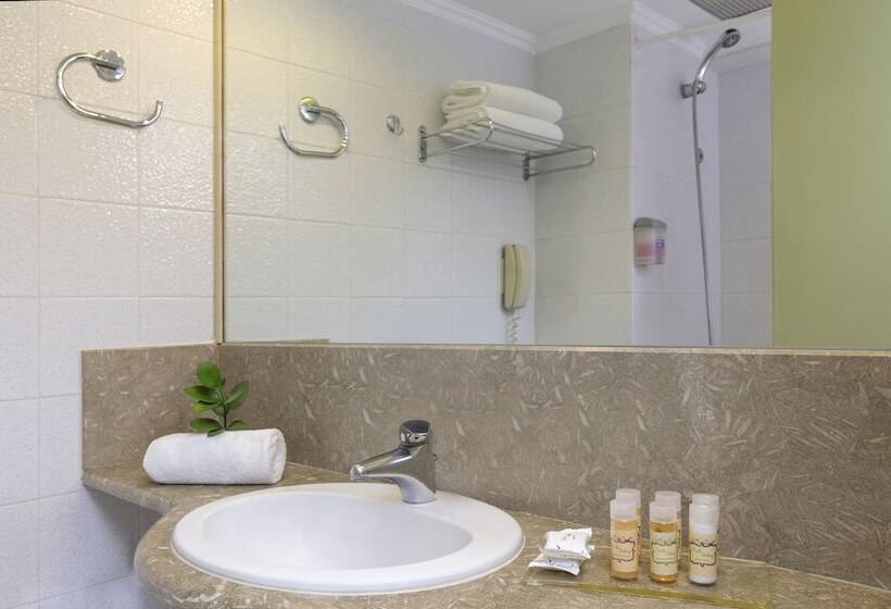 חדר סטנדרט נוף לבריכה, Best Western Plus Hotel Plaza