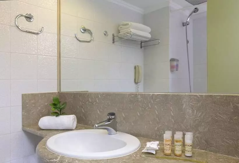 エコノミールーム, Best Western Plus Hotel Plaza