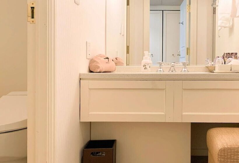 غرفة قياسية, Urabandai Lake Resort Geihinkan Nekoma Rikyu