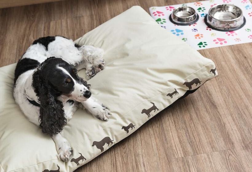 اتاق راحتی, Best Western Plus Park Hotel Pordenone