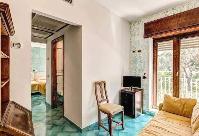 اتاق استاندارد با بالکن, Grand Hotel Hermitage