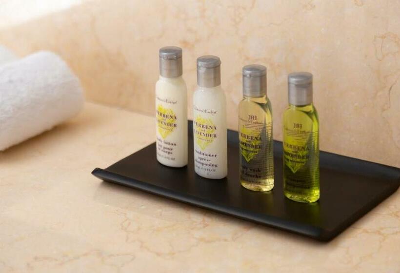 اتاق استاندارد با تخت بزرگ, Doubletree By Hilton Almaty