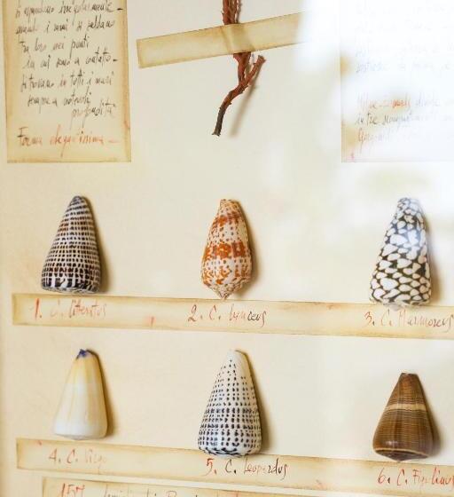 디럭스 스위트 바다 전망, Villa Ducale