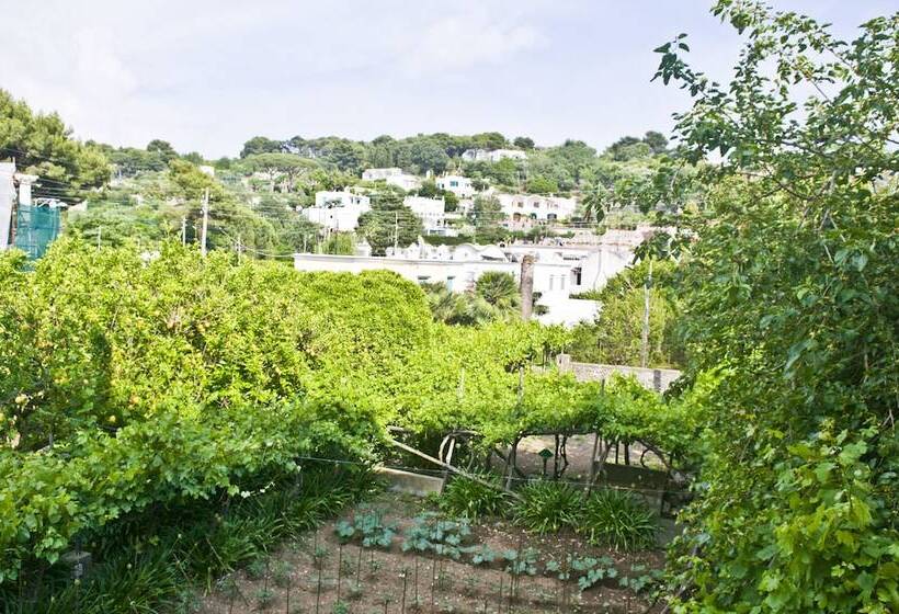 ガーデンビュースーペリアールーム, Villa Sarah