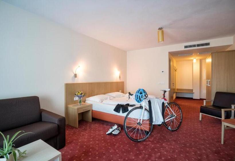 חדר סופריור עם מרפסת, Weingarten