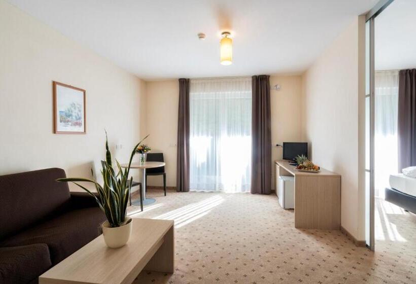 סוויטת ג'וניור עם מרפסת, Weingarten