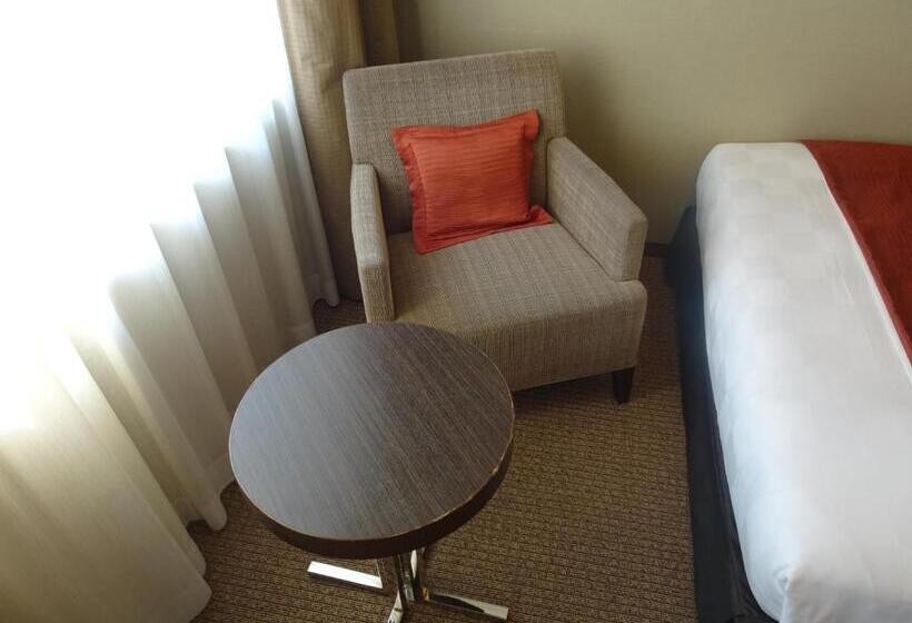 غرفة سوبيريور فردية, Hotel Toyota Castle