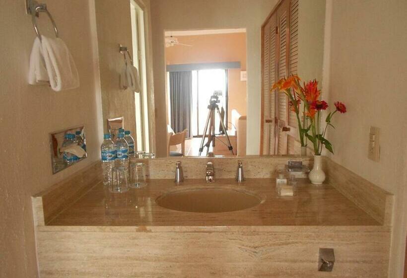 غرفة قياسية ذات إطلالة, Flamingo Vallarta Hotel & Marina