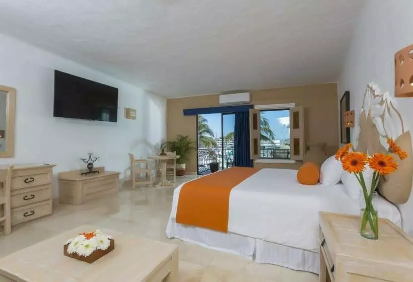 اتاق لوکس با تخت بزرگ, Flamingo Vallarta Hotel & Marina