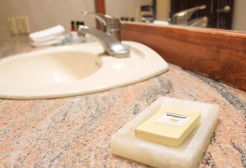 ジュニアスイート, Coral & Marina