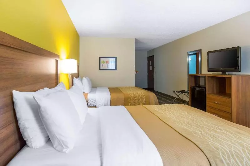 اتاق لوکس, Flamingo Vallarta Hotel & Marina
