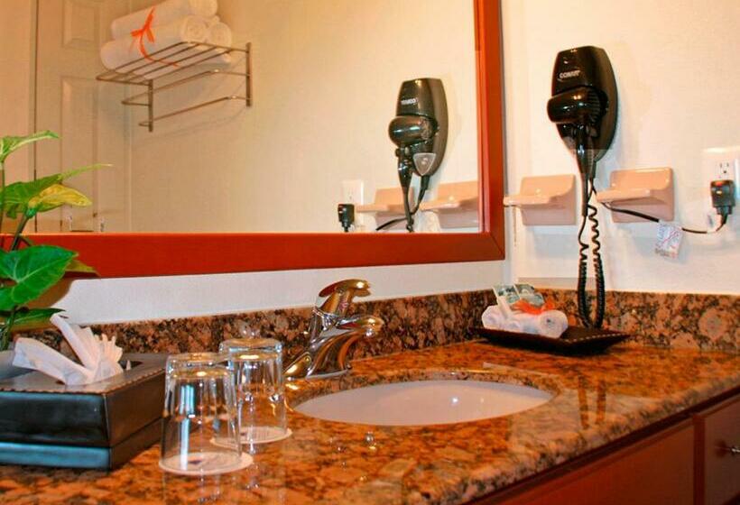 חדר סטודיו סטנדרד, Paradise Village