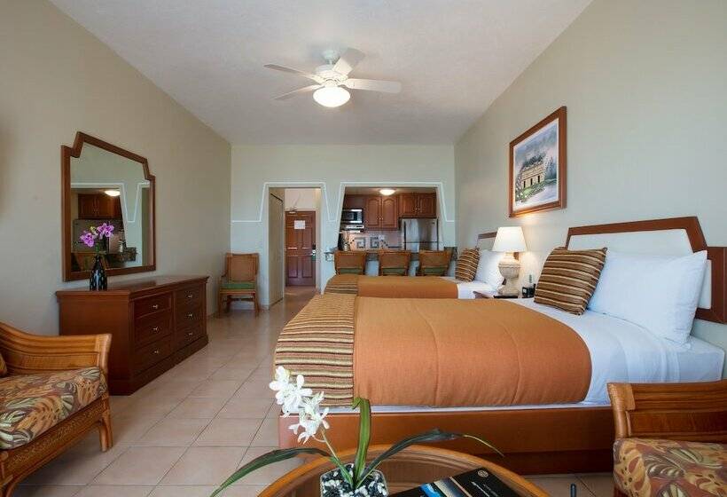 חדר סטודיו סטנדרד, Paradise Village