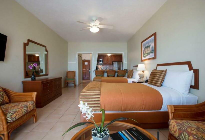 סטודיו סופריור, Paradise Village