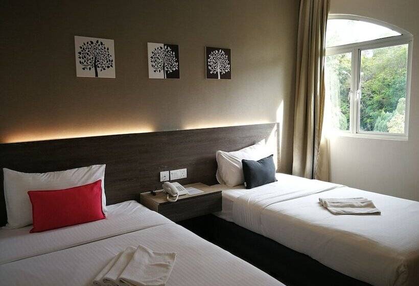 غرفة سوبيريور, Alpha