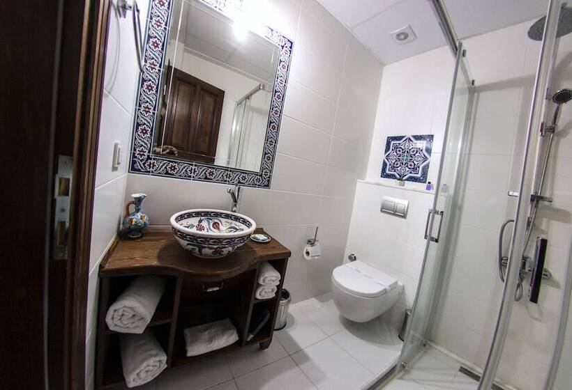 Номер Superior, Mary S House