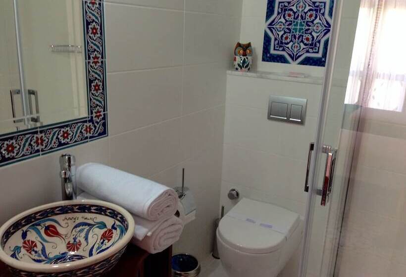 Номер Superior, Mary S House