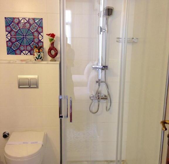 Номер Superior, Mary S House