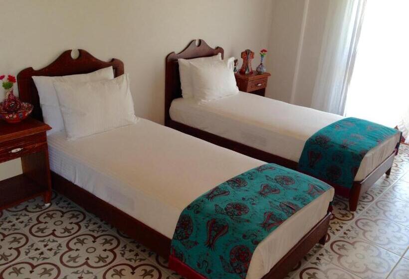 Номер Superior, Mary S House