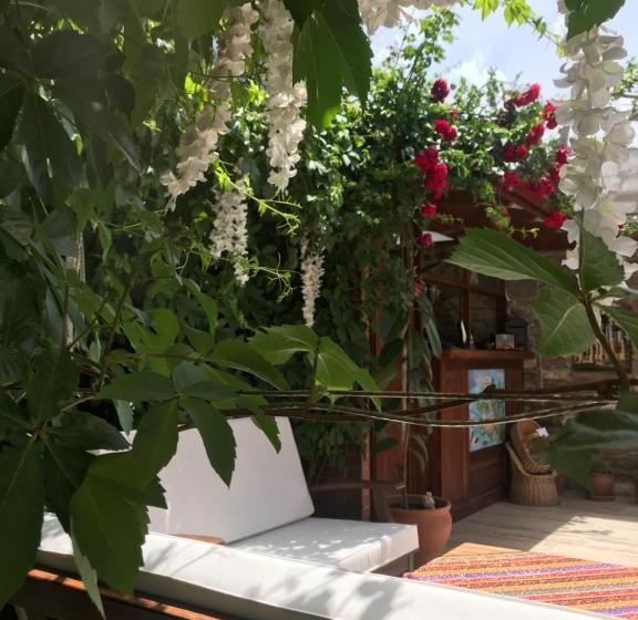 Семейный Номер, Mary S House