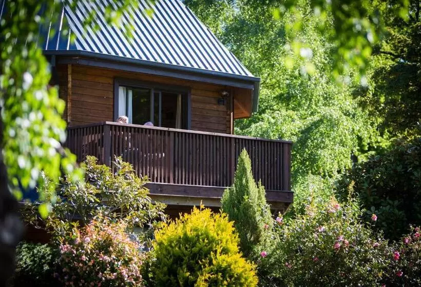 سوییت سوپریور, Alpine Lodge Motel