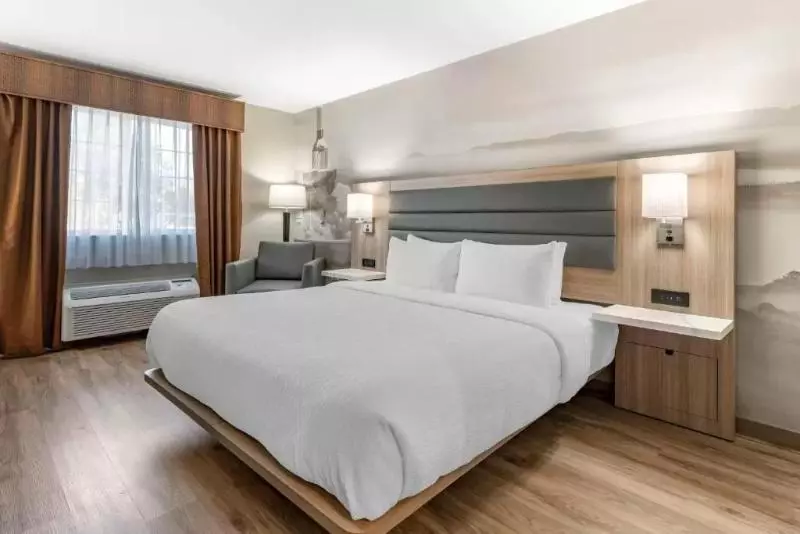 エクゼクティブワンルーム, Admirals Motor Inn
