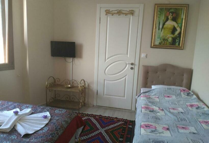 家庭间, Ephesus Palaces