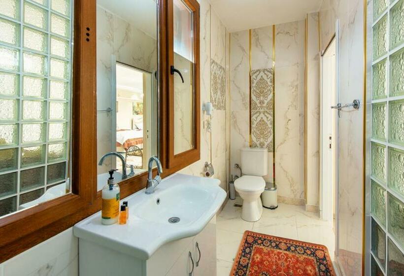 带大床的套房, Ephesus Palaces