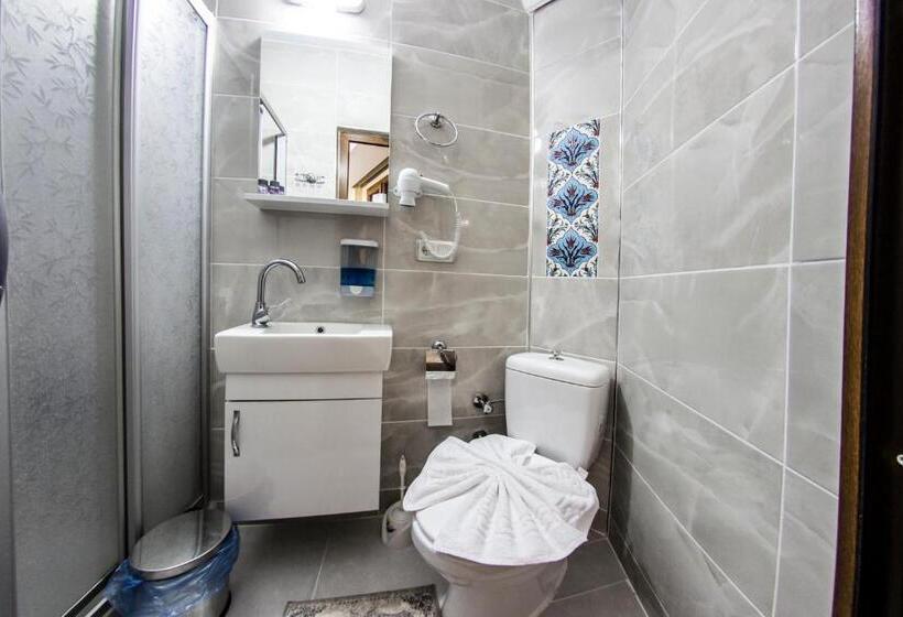 家庭间, Ephesus Palaces