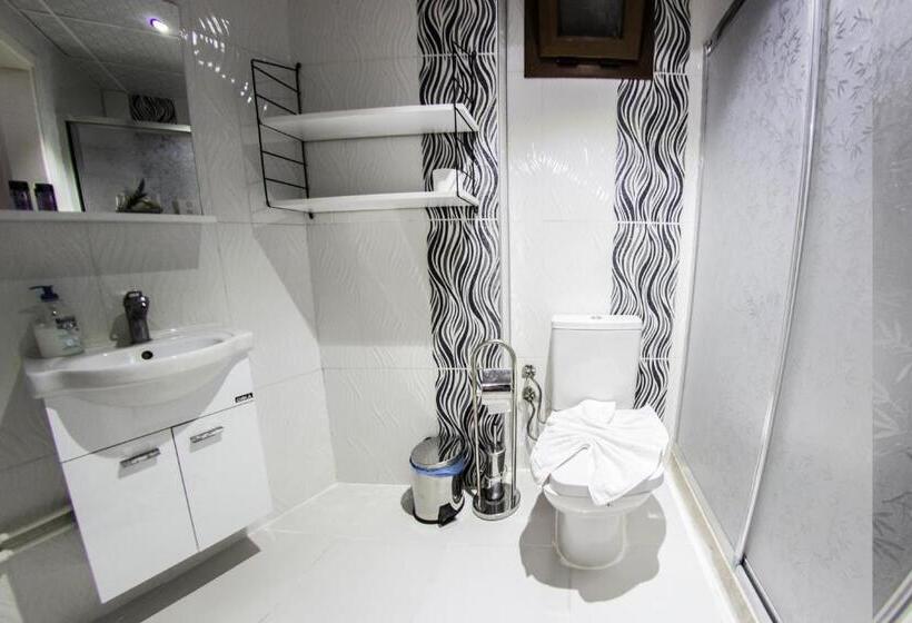 家庭间, Ephesus Palaces