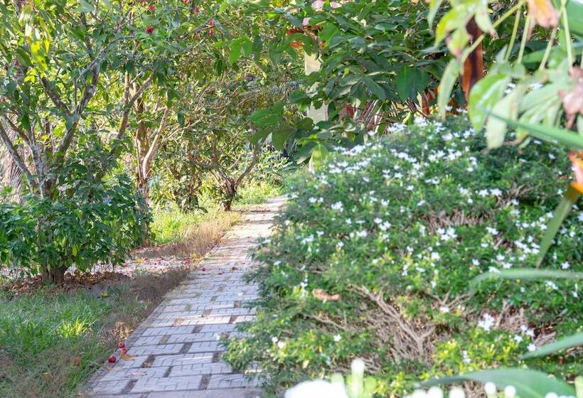 بانگلوی لوکس, Orchard Fruit Farm Bungalow