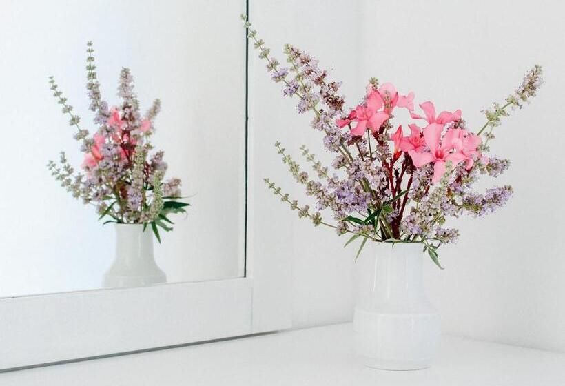 اتاق خانوادگی, Klima Paradise