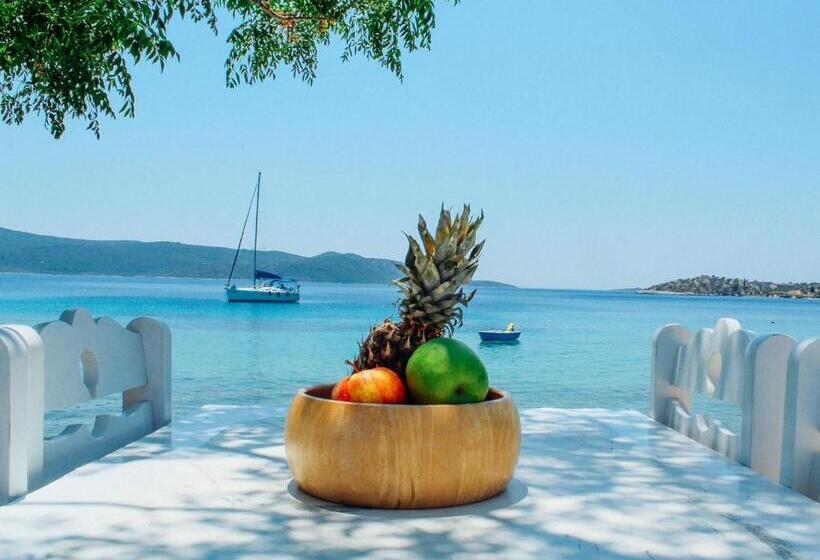 ویلای لوکس 1 خوابه, Klima Paradise