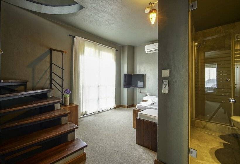 Penthouse Room, The Green Goose