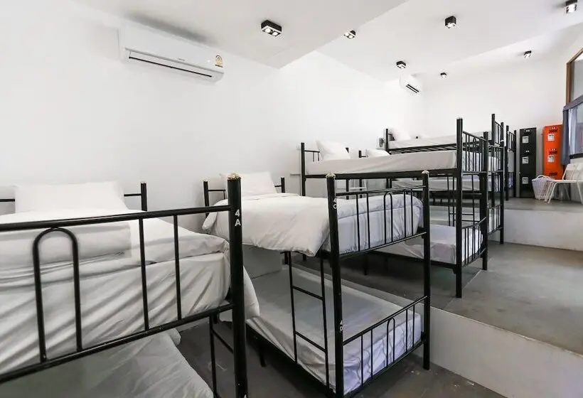 تختخواب در اتاق مشترک, Paradise Beach Backpackers Hostel