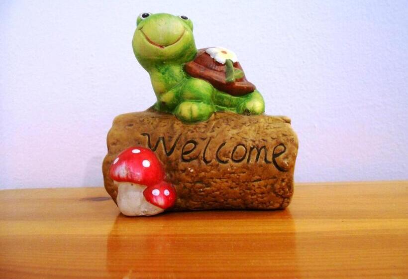 Standard-studio, Anemona Studios