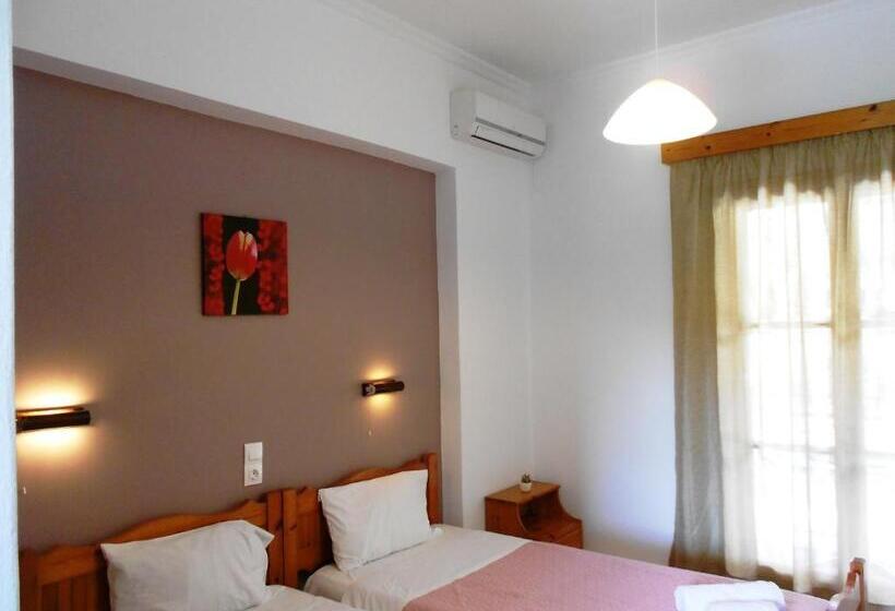 Standard-studio, Anemona Studios