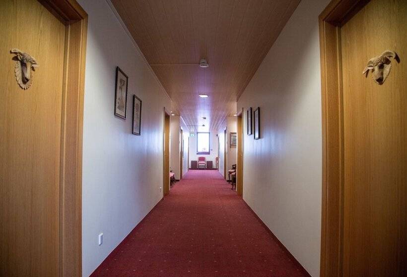 اتاق استاندارد سه نفره, Smyrlabjorg
