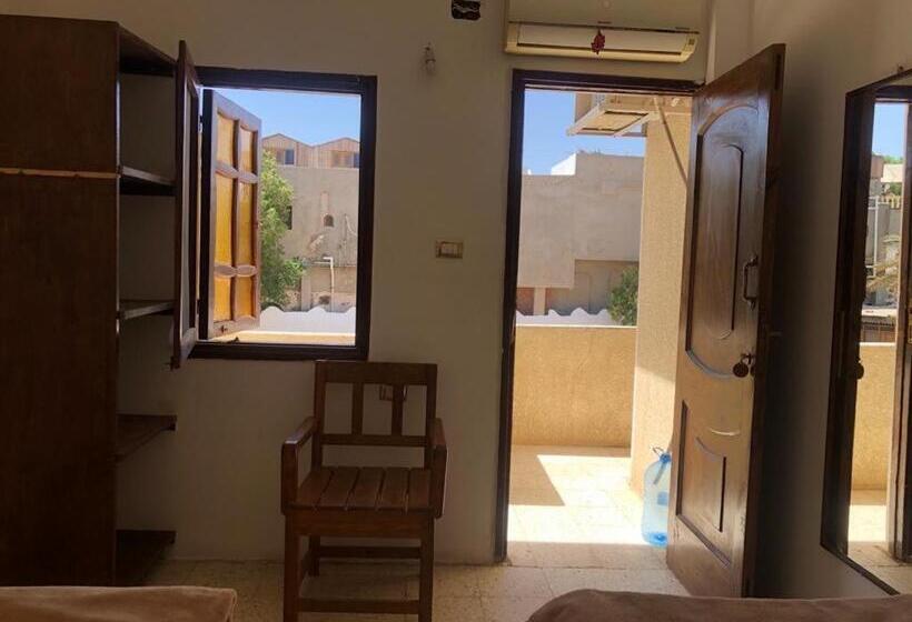 اتاق استاندارد با سرویس بهداشتی مشترک, Oasis Fighting Kangaroo