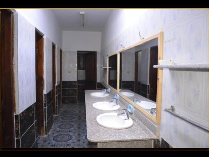 اتاق استاندارد با سرویس بهداشتی مشترک, Oasis Fighting Kangaroo