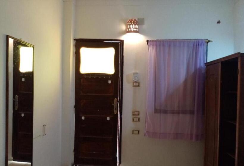 اتاق استاندارد با سرویس بهداشتی مشترک, Oasis Fighting Kangaroo