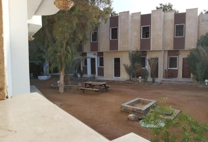 اتاق استاندارد با سرویس بهداشتی مشترک, Oasis Fighting Kangaroo