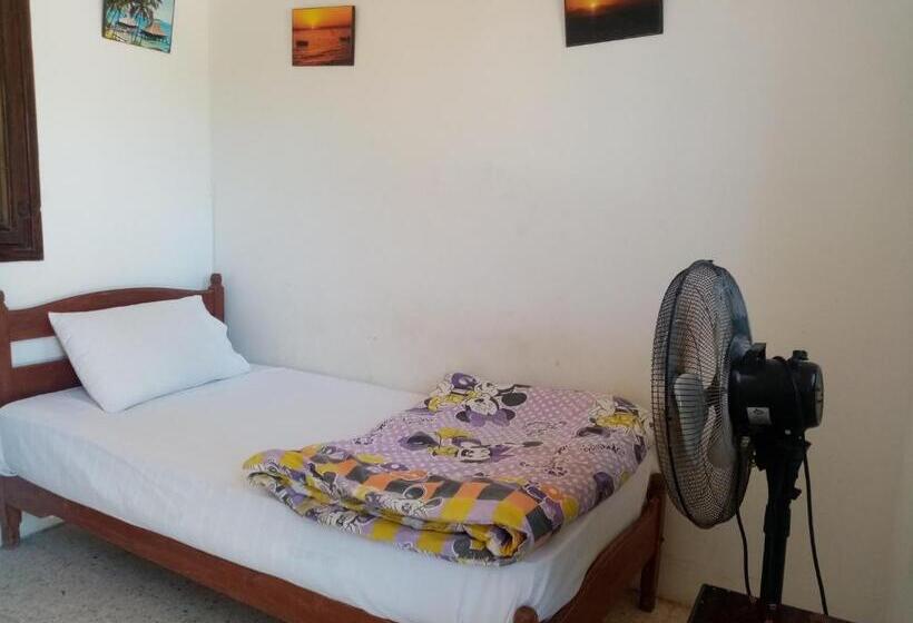 اتاق استاندارد یک تخته با سرویس بهداشتی مشترک, Oasis Fighting Kangaroo