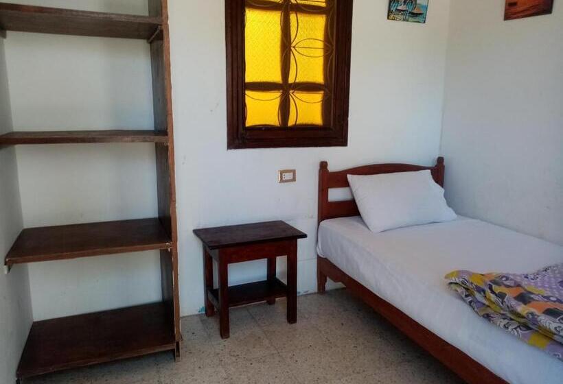 اتاق استاندارد یک تخته با سرویس بهداشتی مشترک, Oasis Fighting Kangaroo