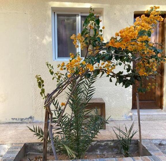اتاق استاندارد یک نفره, Oasis Fighting Kangaroo