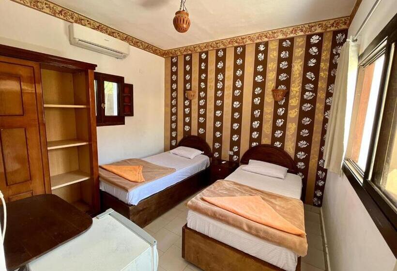 اتاق استاندارد, Oasis Fighting Kangaroo