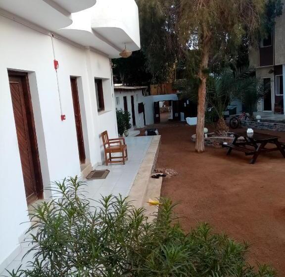 اتاق استاندارد, Oasis Fighting Kangaroo